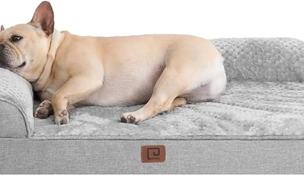 comfortable and durable dog bed