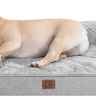 comfortable and durable dog bed