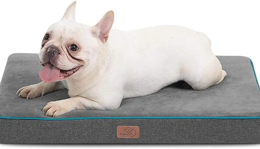 Bedsure Medium Orthopedic Bed