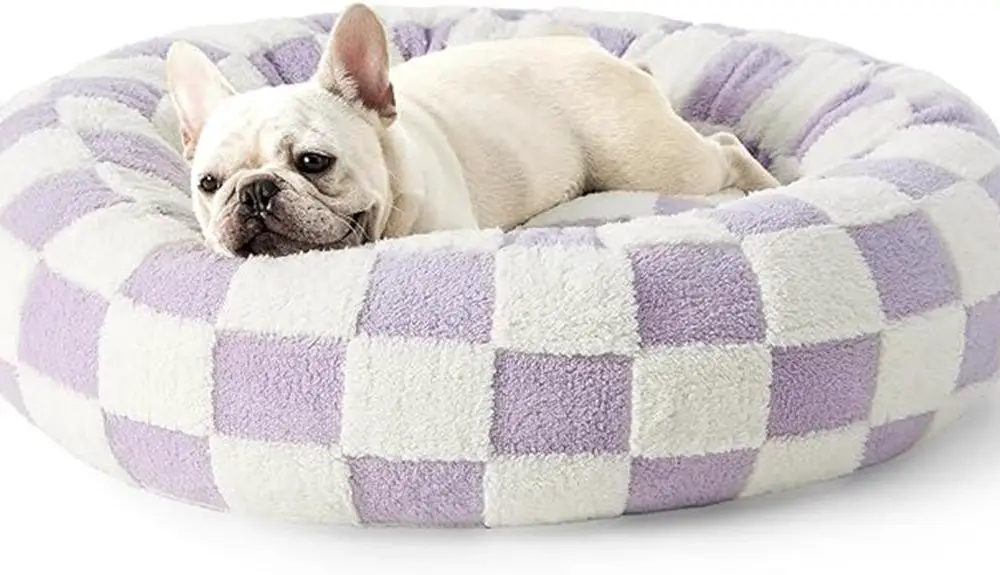 Lesure Donut Small Dog Bed Review