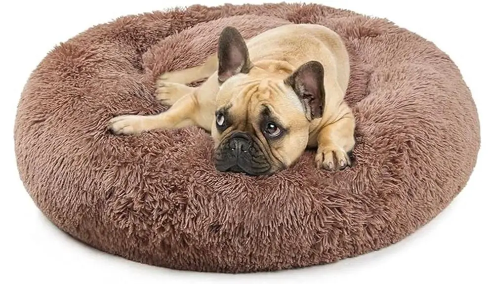 french bulldog bed comfort