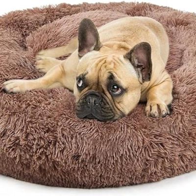 french bulldog bed comfort