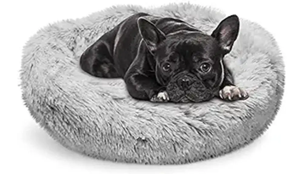 pet bed review summary