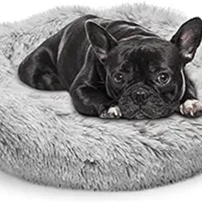 pet bed review summary