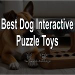 Best Dog Interactive Puzzle Toys