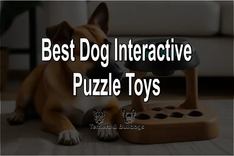 Best Dog Interactive Puzzle Toys