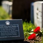 Lavish Pet Farewells: Unique Memorial Service Trends