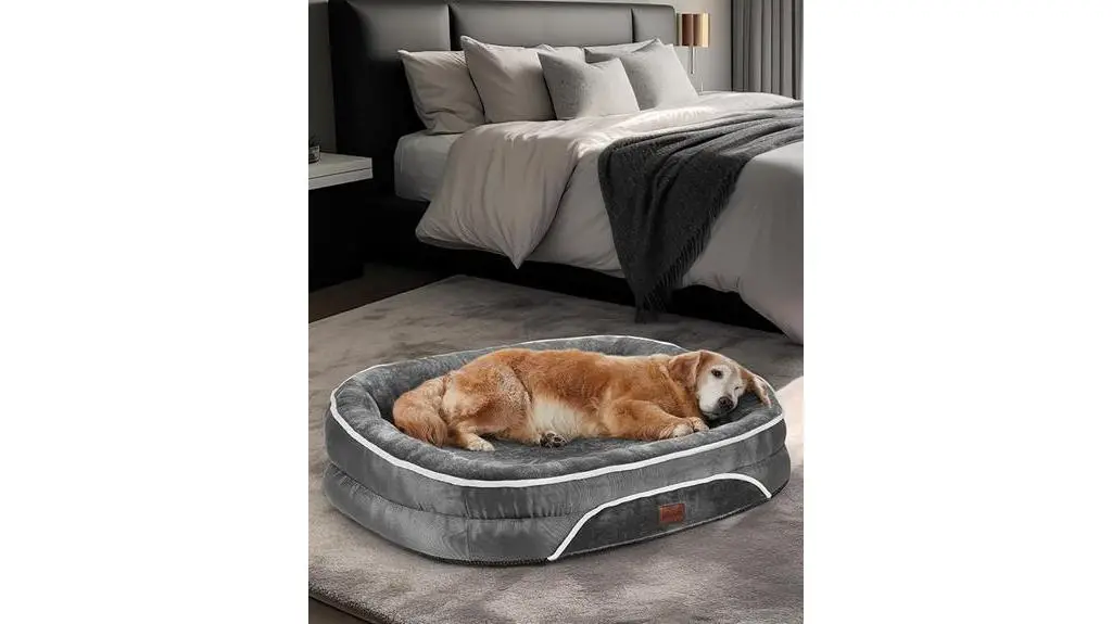 comfortable orthopedic bed option