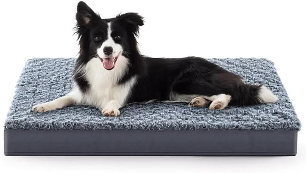 comfortable orthopedic bed option