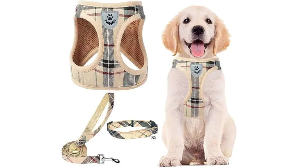 dog accessory set in beige