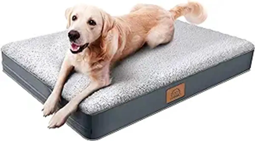 orthopedic dog bed grey