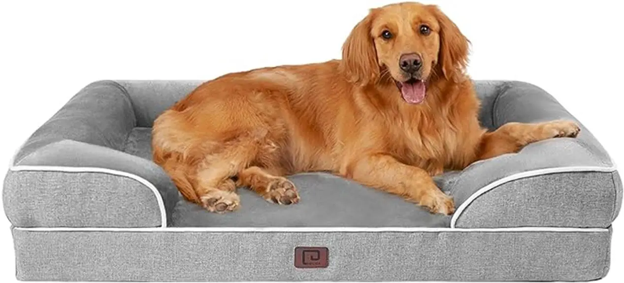 orthopedic dog bed large