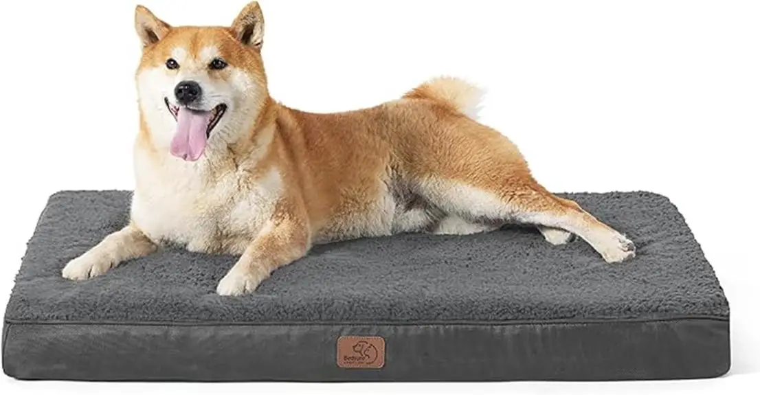 orthopedic dog bed large