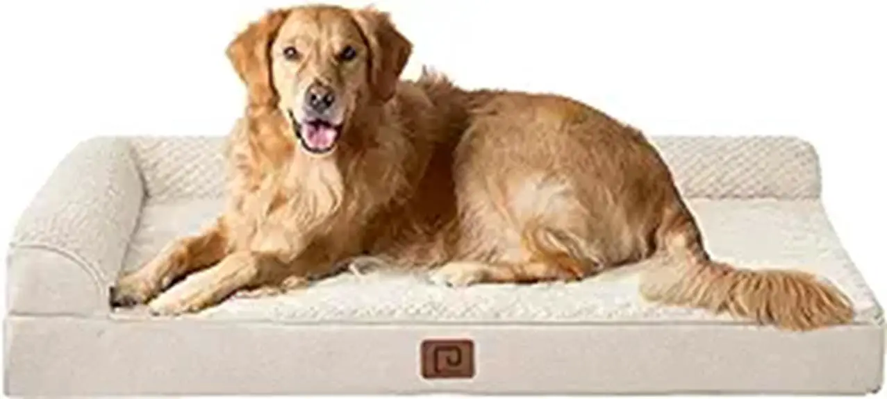 orthopedic xl dog bed