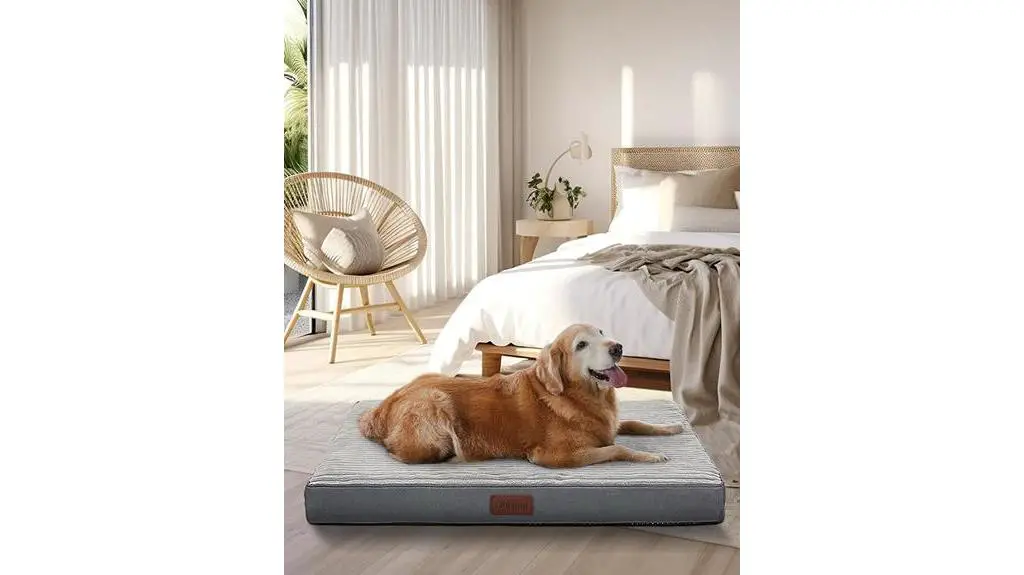 plush grey dog bed